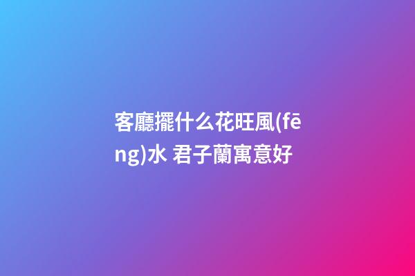 客廳擺什么花旺風(fēng)水 君子蘭寓意好